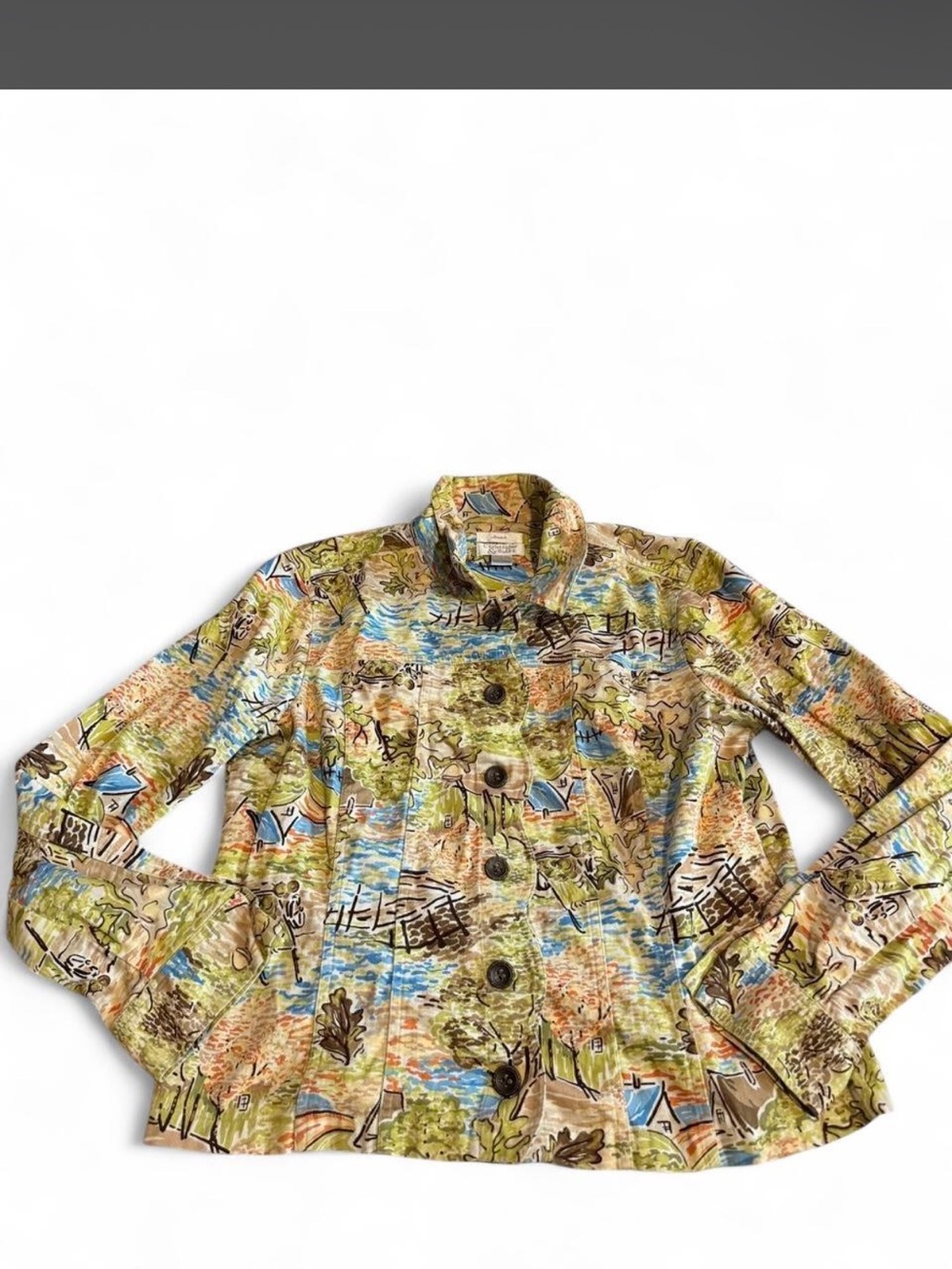 Christopher & Banks Multicolor Scenic Print Shirt Jacket